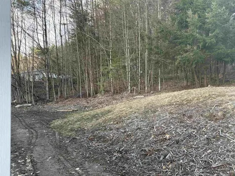 64 County Road Springfield VT 05150