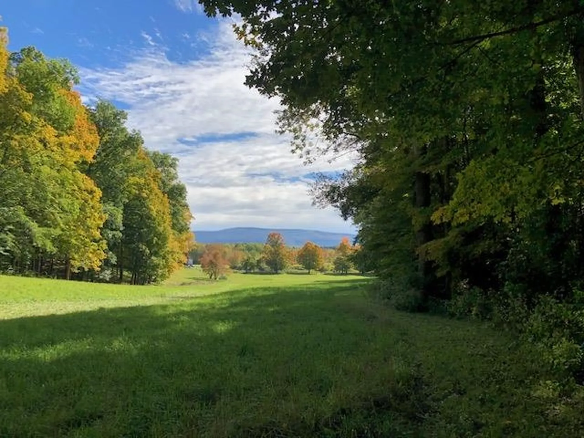 557 Bennett Hill Road Shaftsbury VT 05262