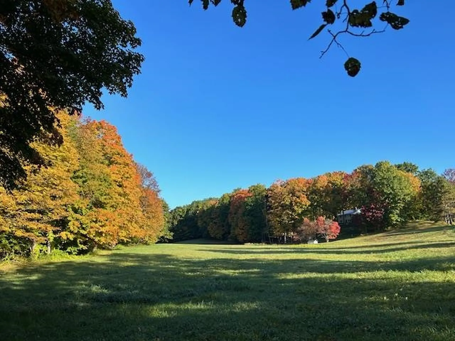 557 Bennett Hill Road Shaftsbury VT 05262