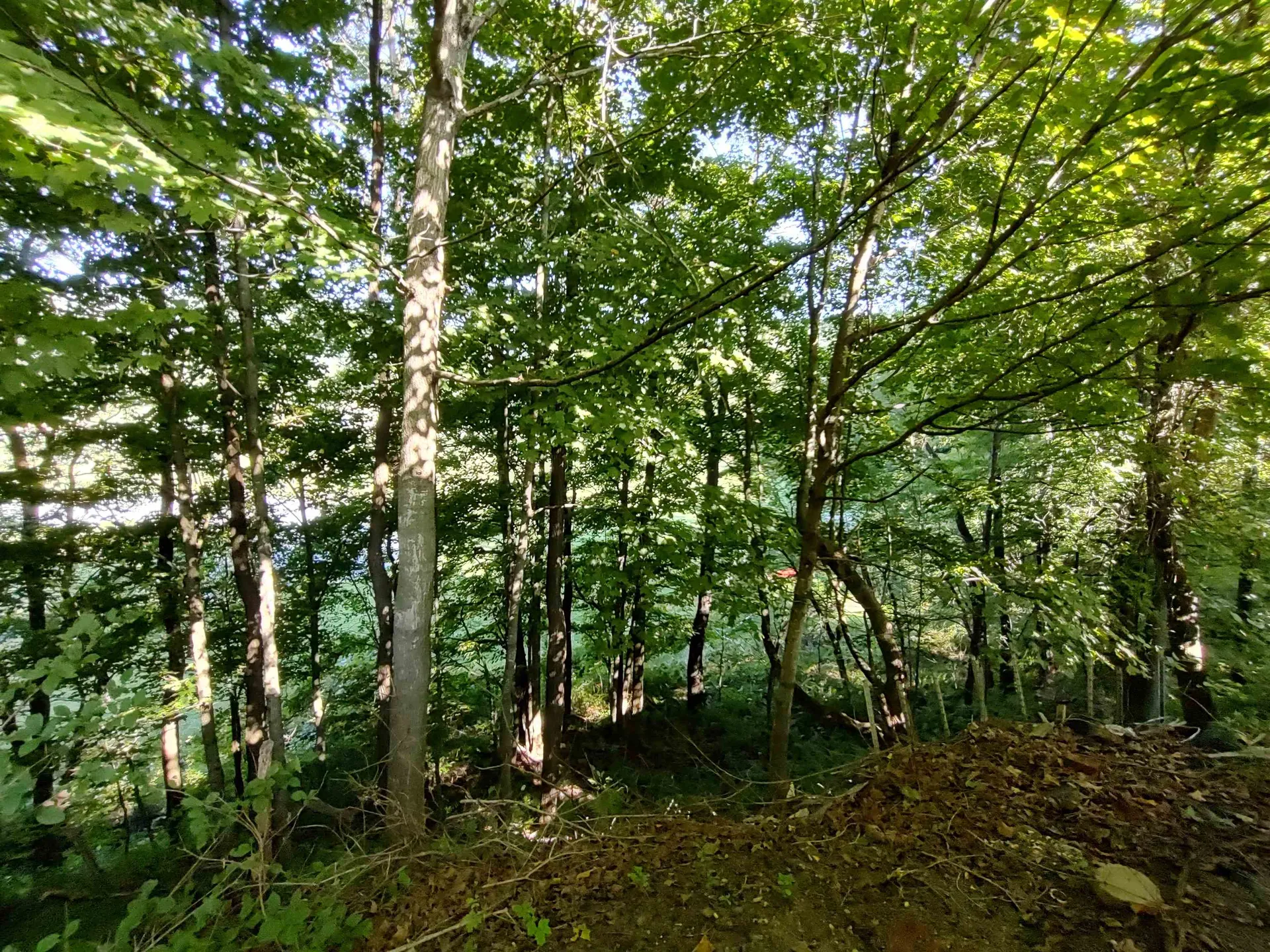 178 Church Street Bethel VT 05032