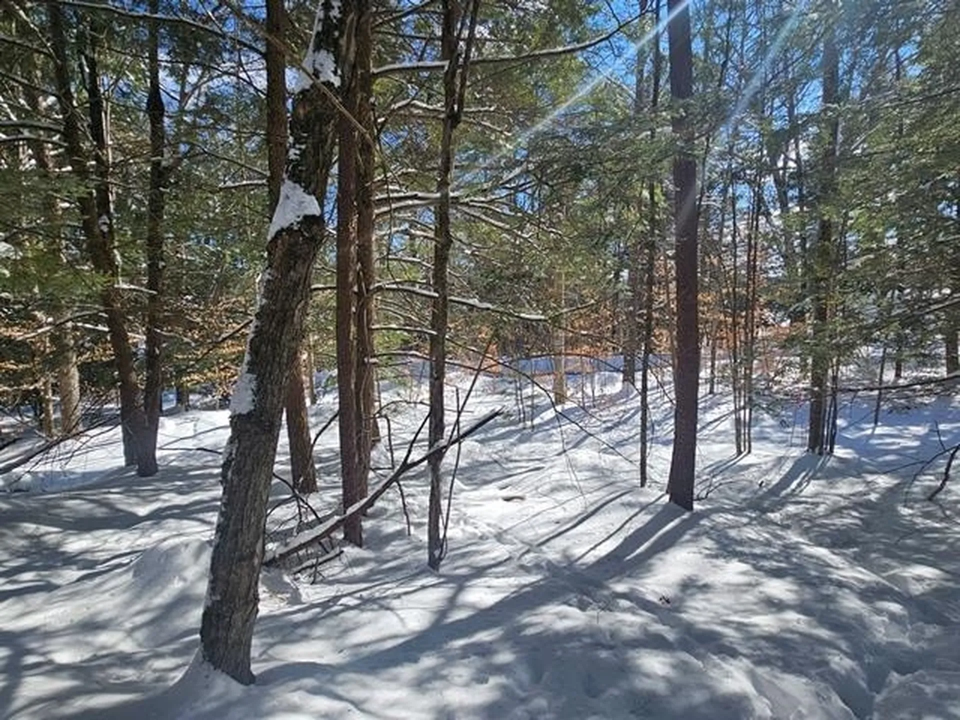 0 Peg Shop Road Keene NH 03431