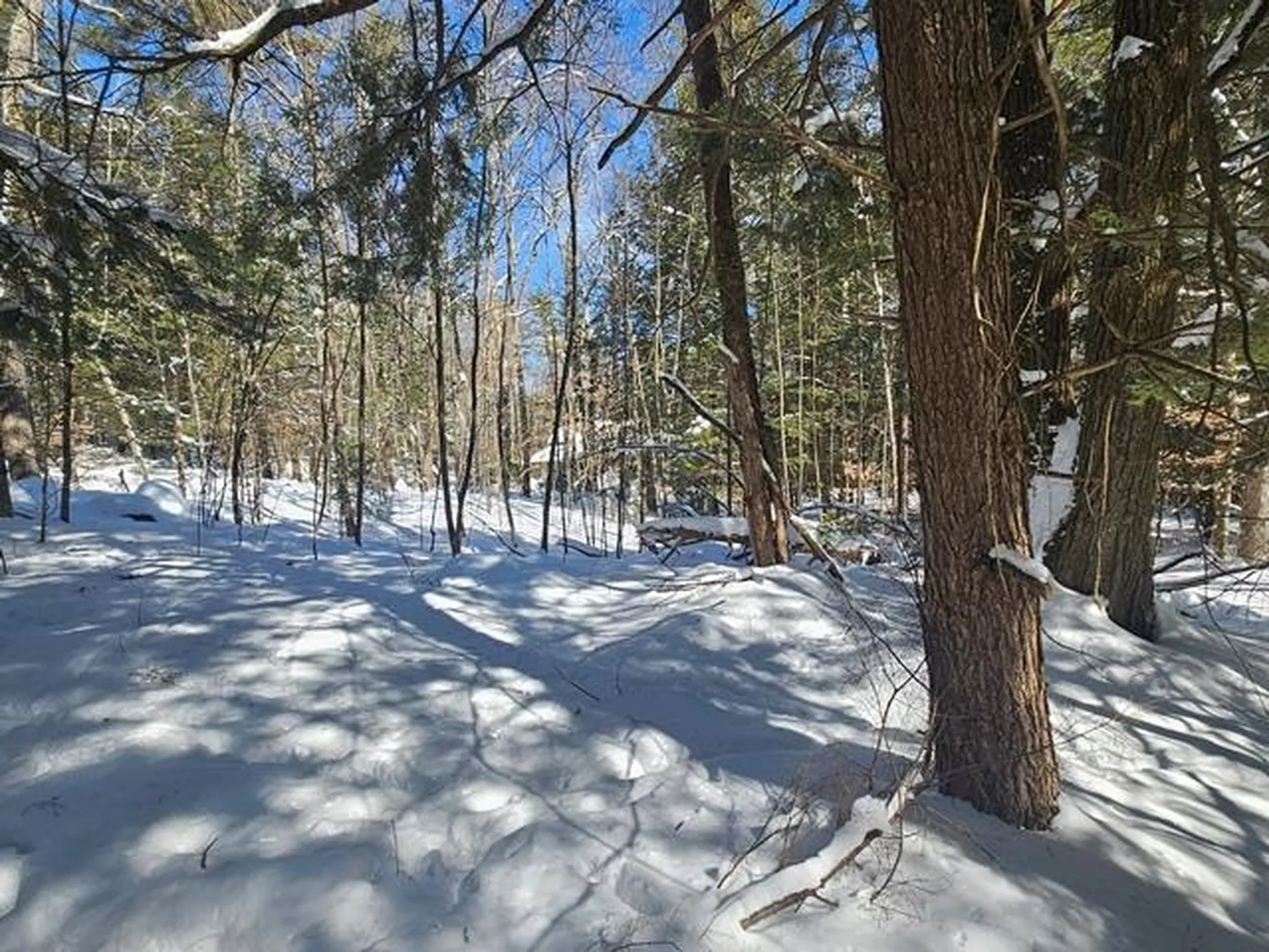 0 Peg Shop Road Keene NH 03431