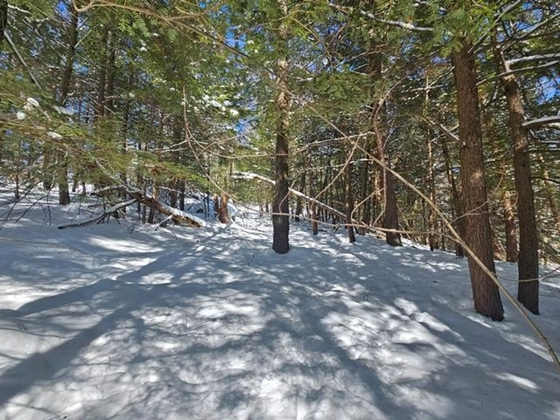 0 Peg Shop Road Keene NH 03431