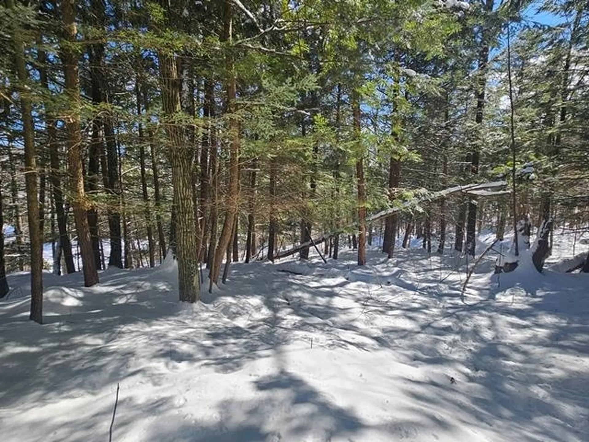 0 Peg Shop Road Keene NH 03431