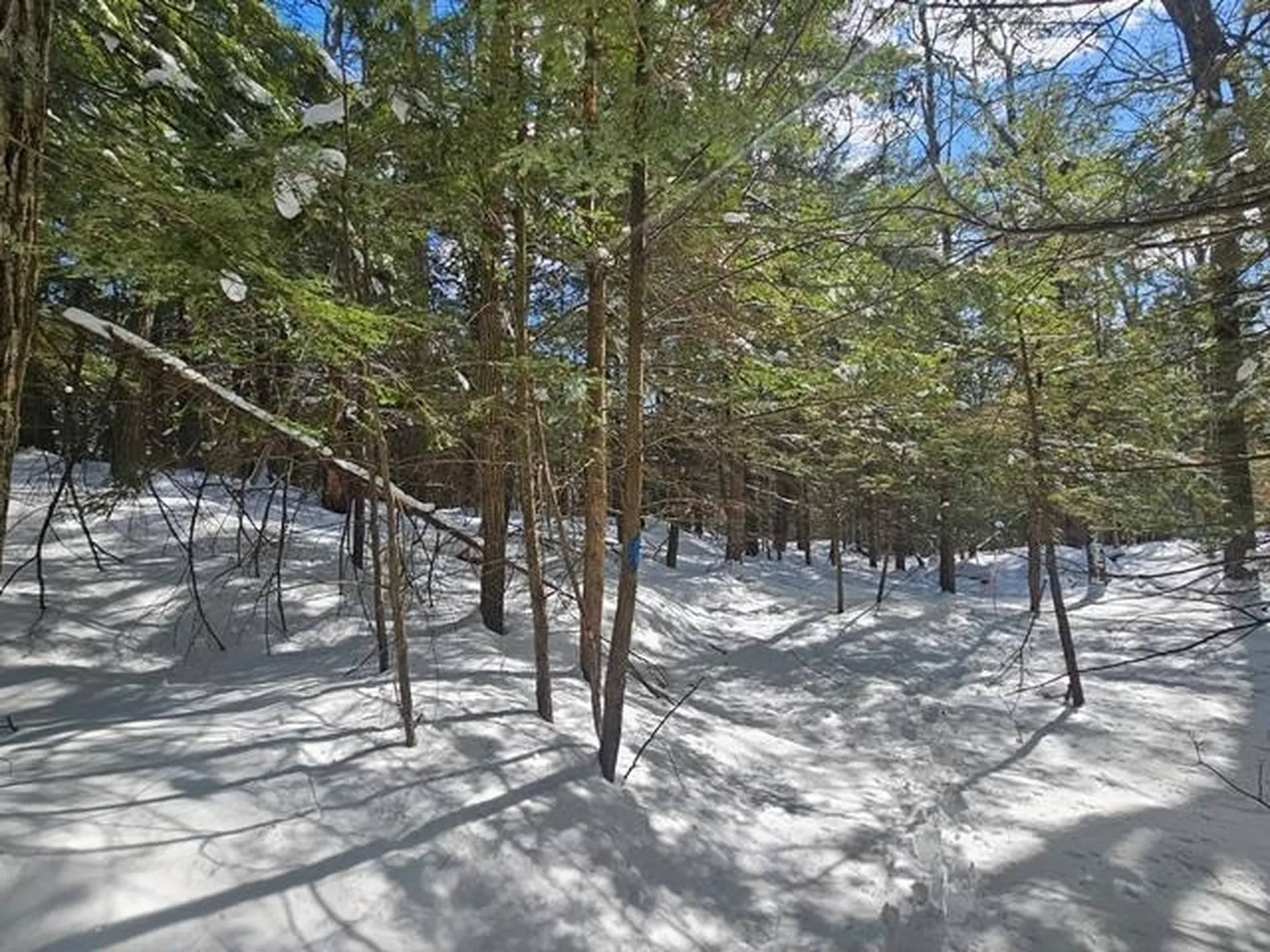 0 Peg Shop Road Keene NH 03431