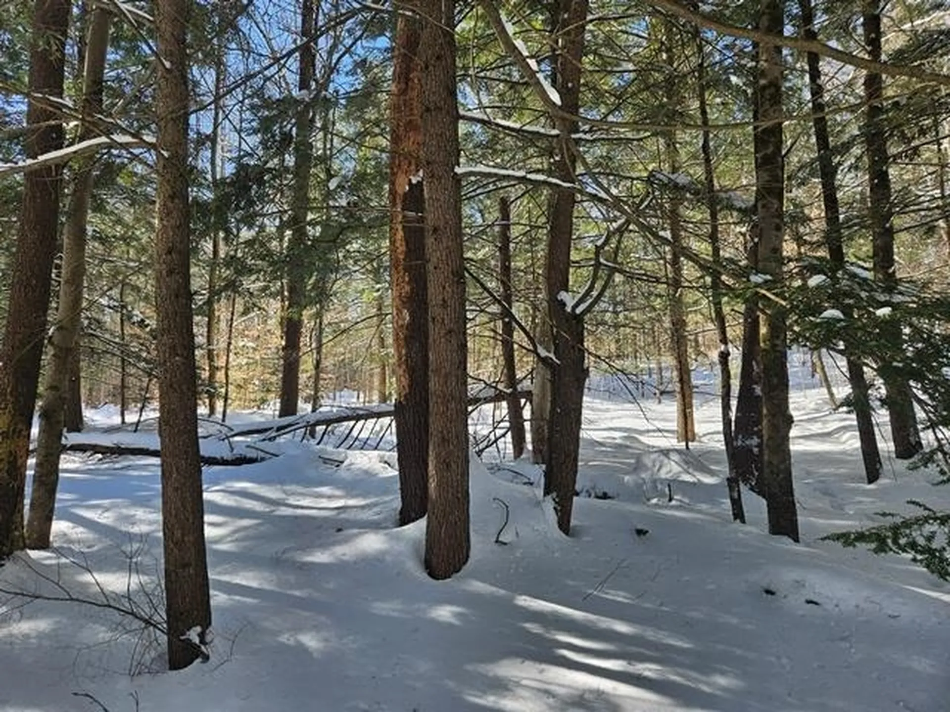 0 Peg Shop Road Keene NH 03431