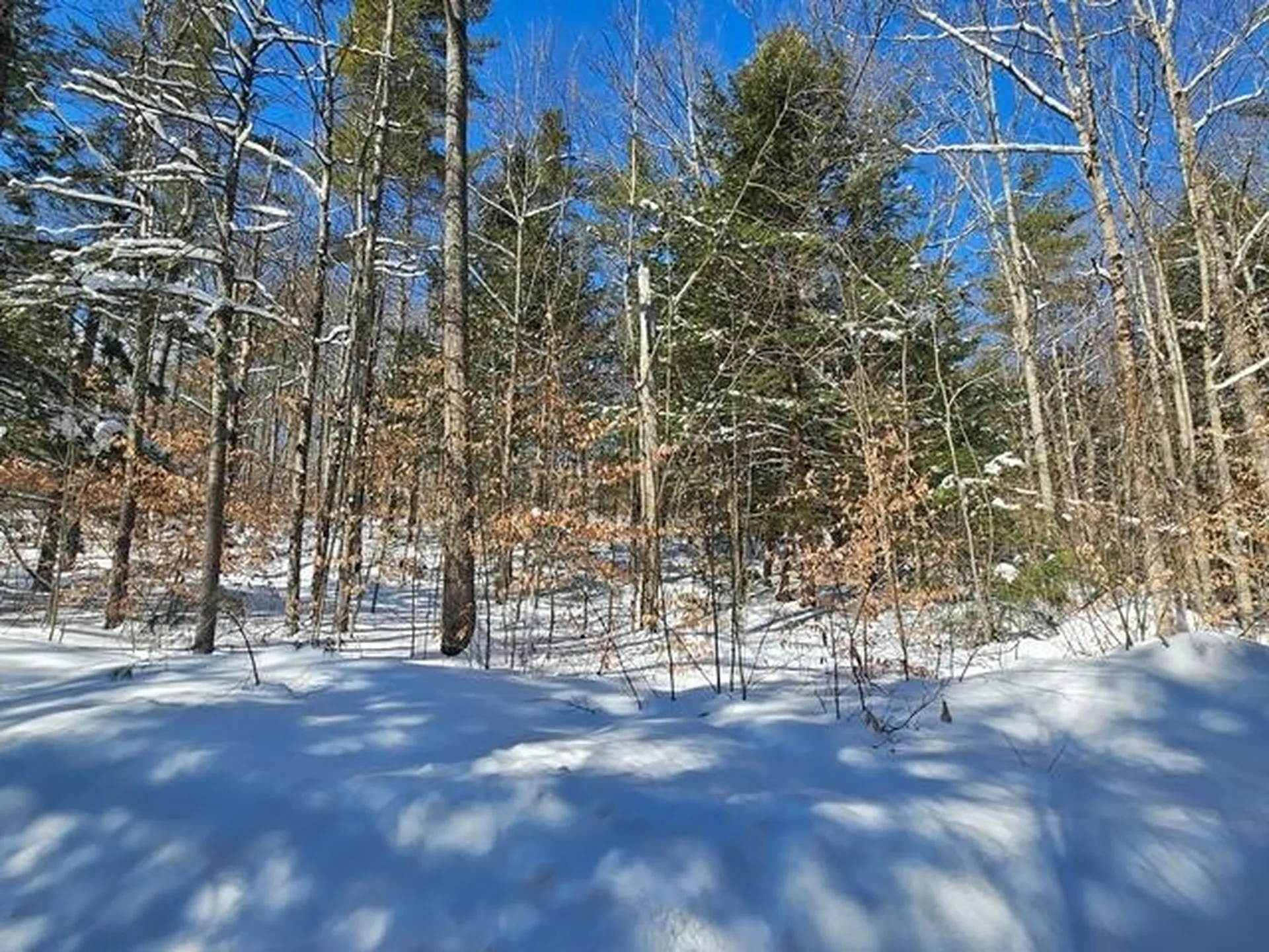 0 Peg Shop Road Keene NH 03431