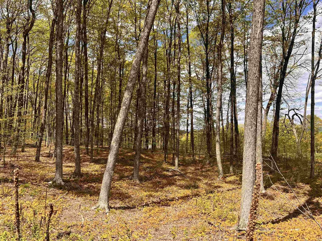 119 Advent Hill Road Hartland VT 05048