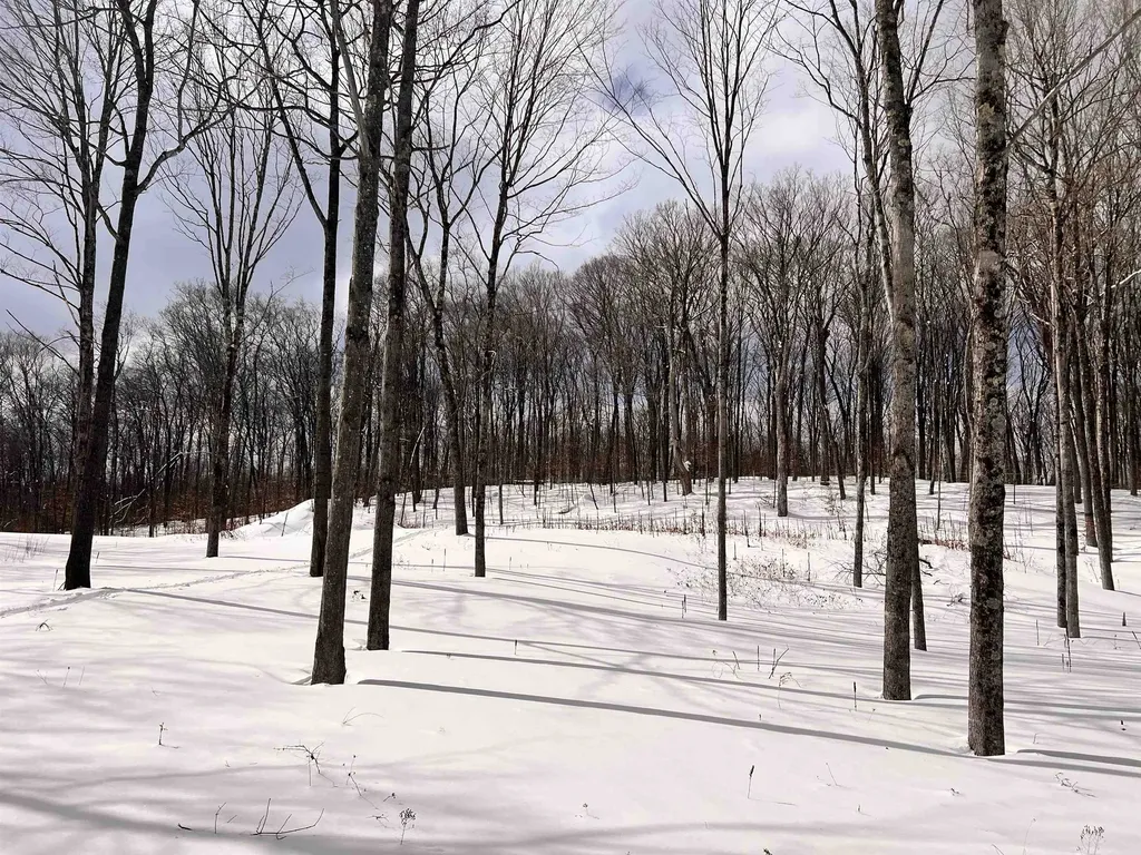 119 Advent Hill Road Hartland VT 05048