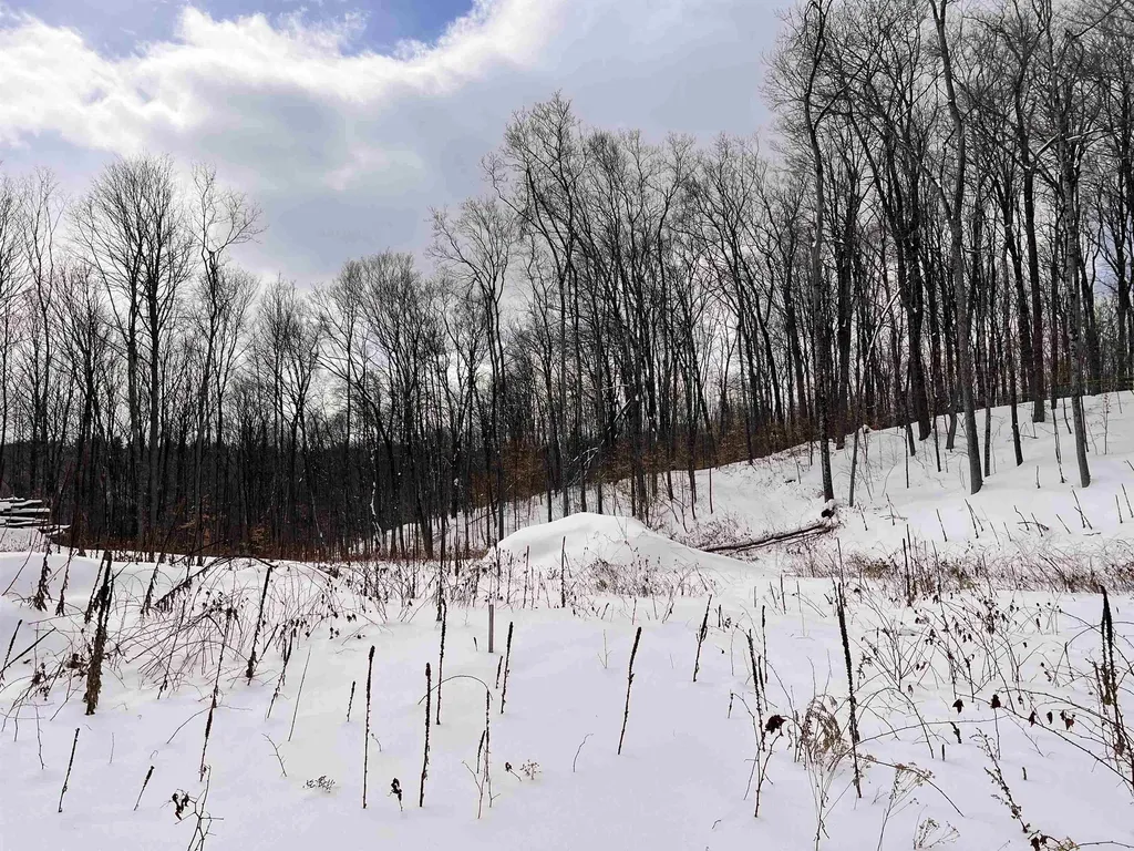 119 Advent Hill Road Hartland VT 05048