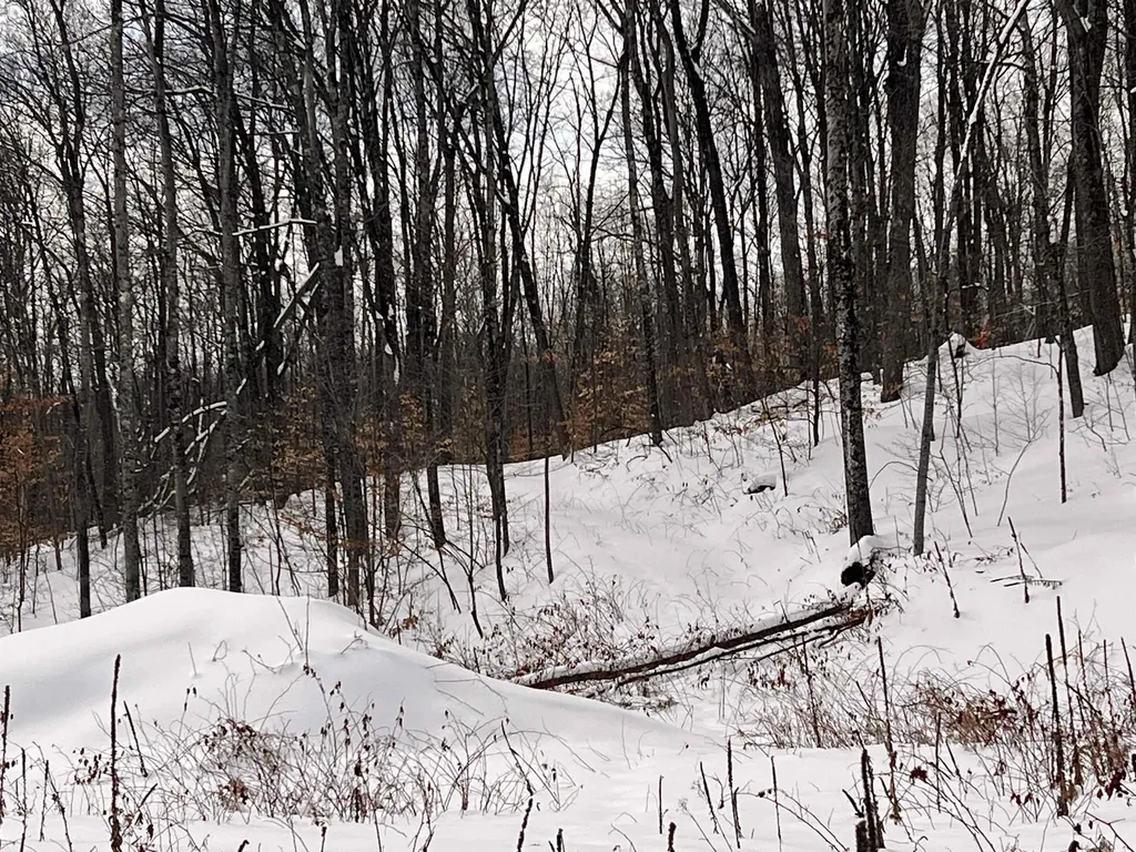 119 Advent Hill Road Hartland VT 05048