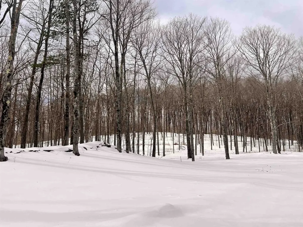 119 Advent Hill Road Hartland VT 05048