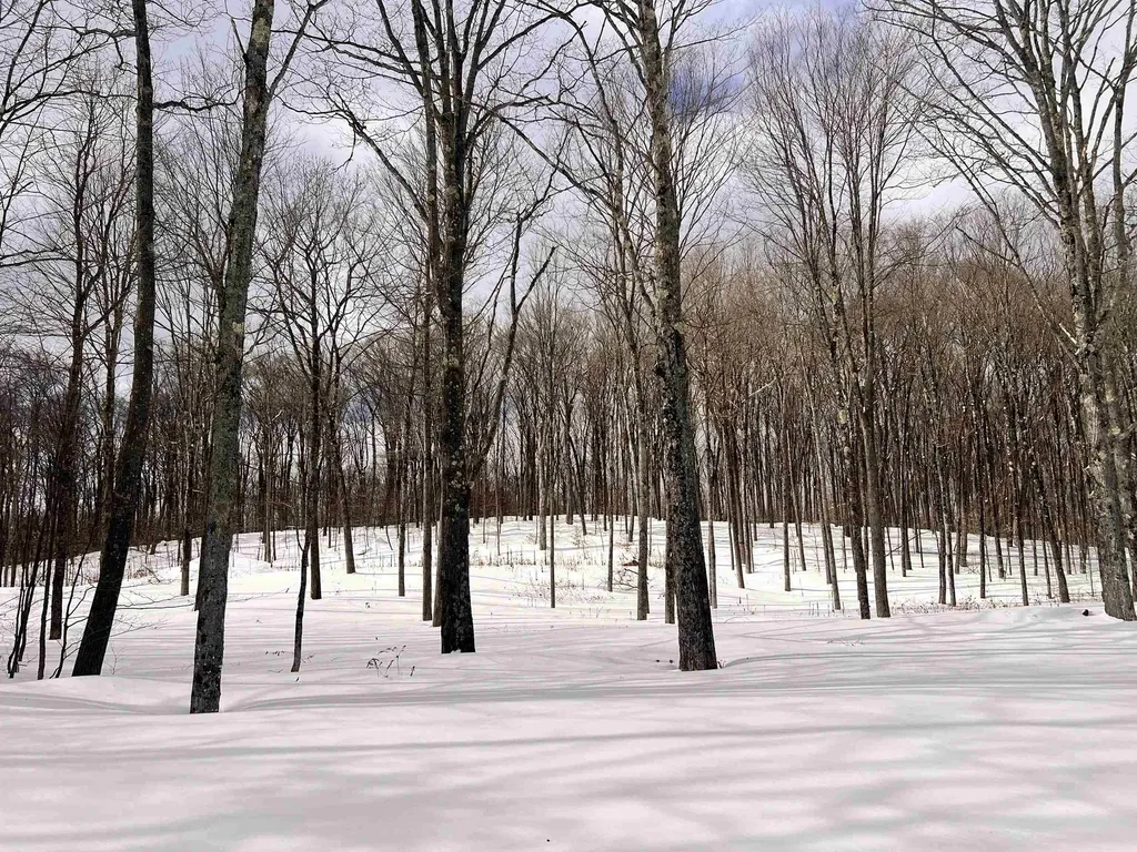 119 Advent Hill Road Hartland VT 05048