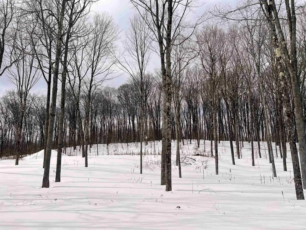 119 Advent Hill Road Hartland VT 05048