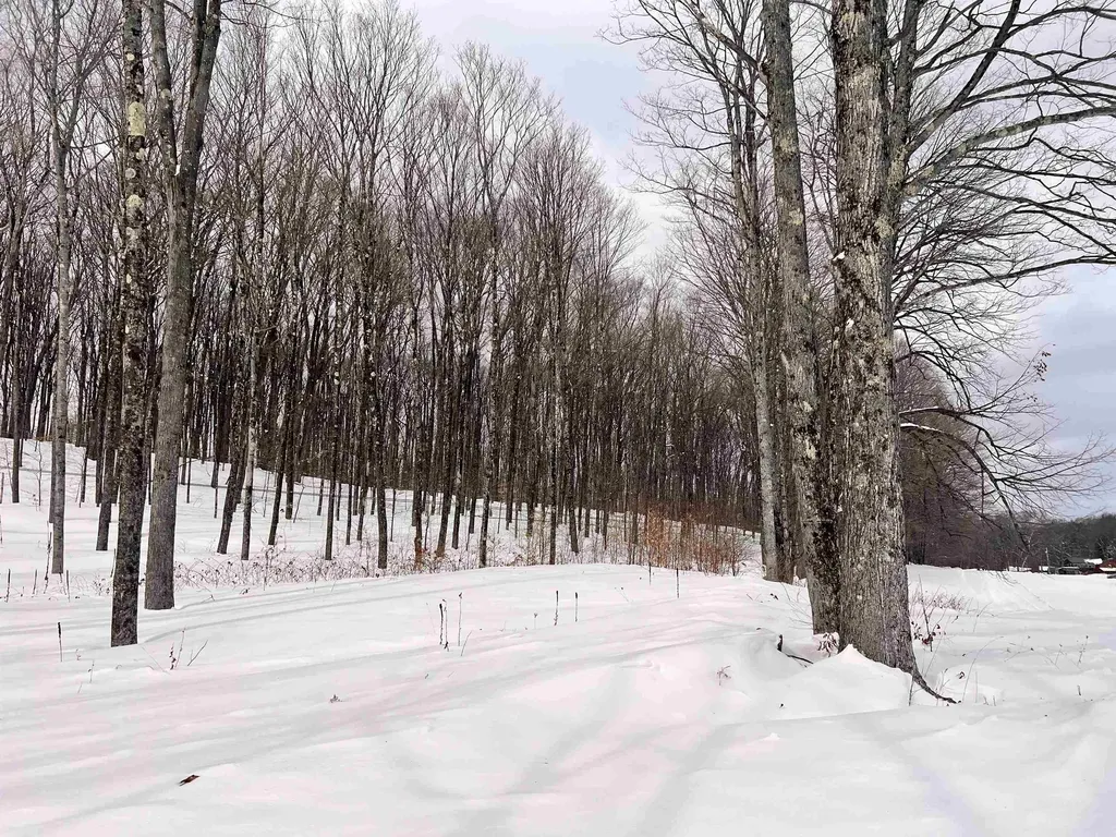 119 Advent Hill Road Hartland VT 05048