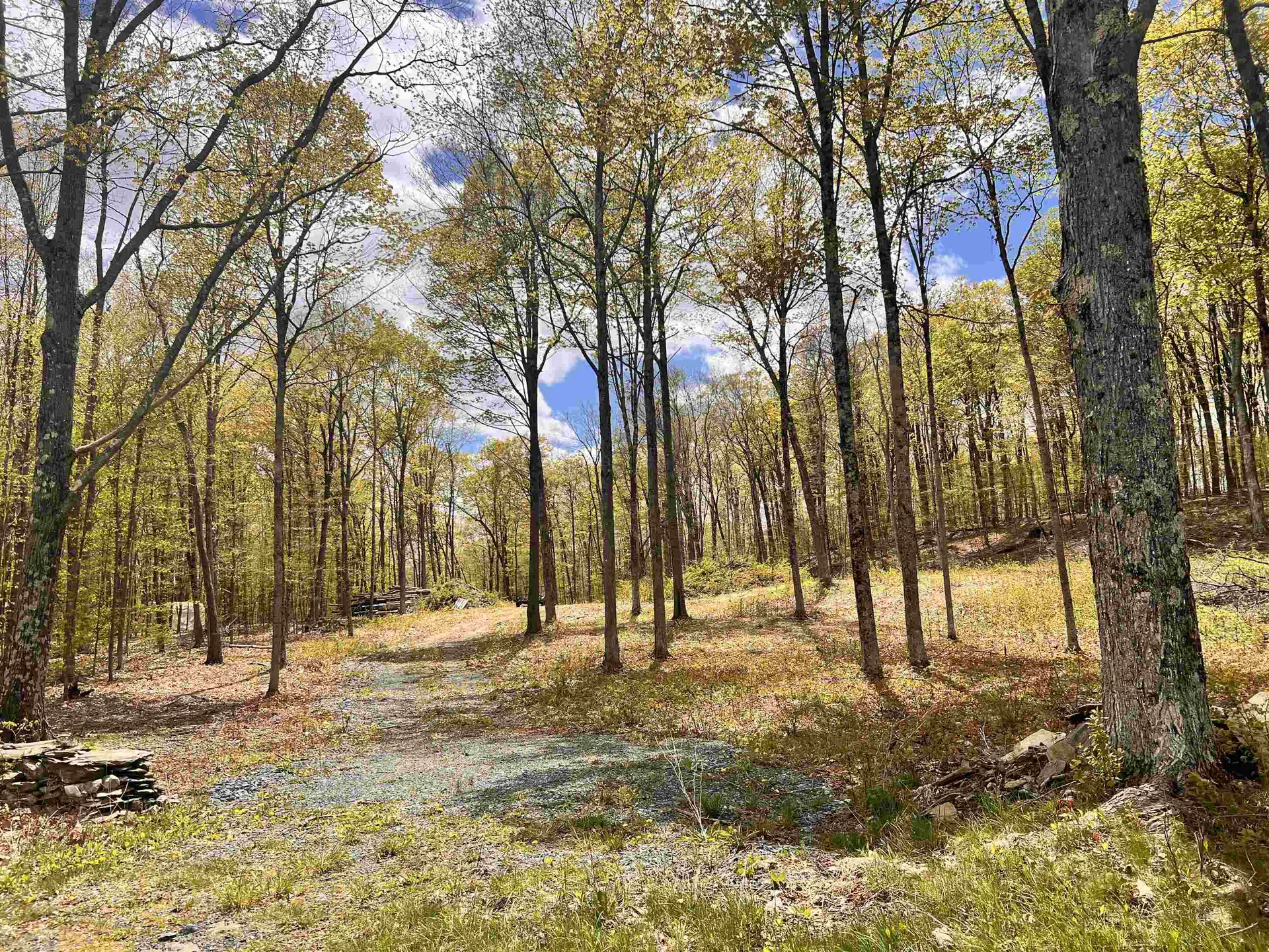119 Advent Hill Road Hartland VT 05048