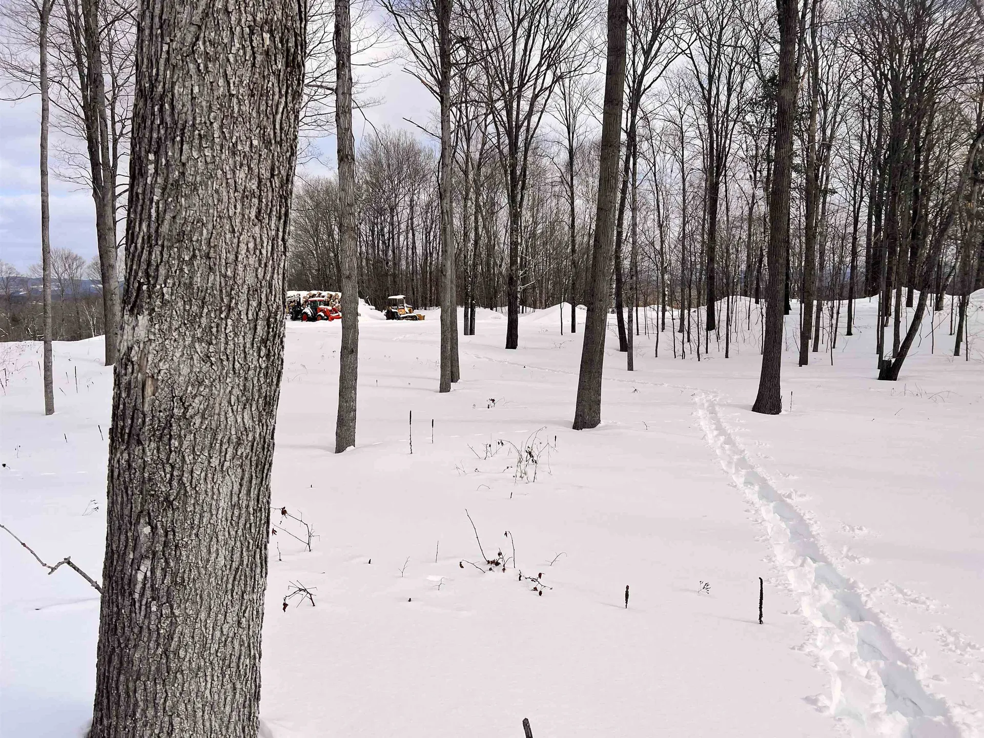 119 Advent Hill Road Hartland VT 05048