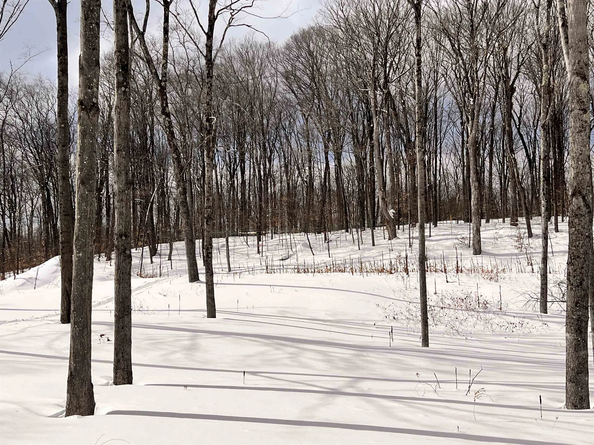 119 Advent Hill Road Hartland VT 05048