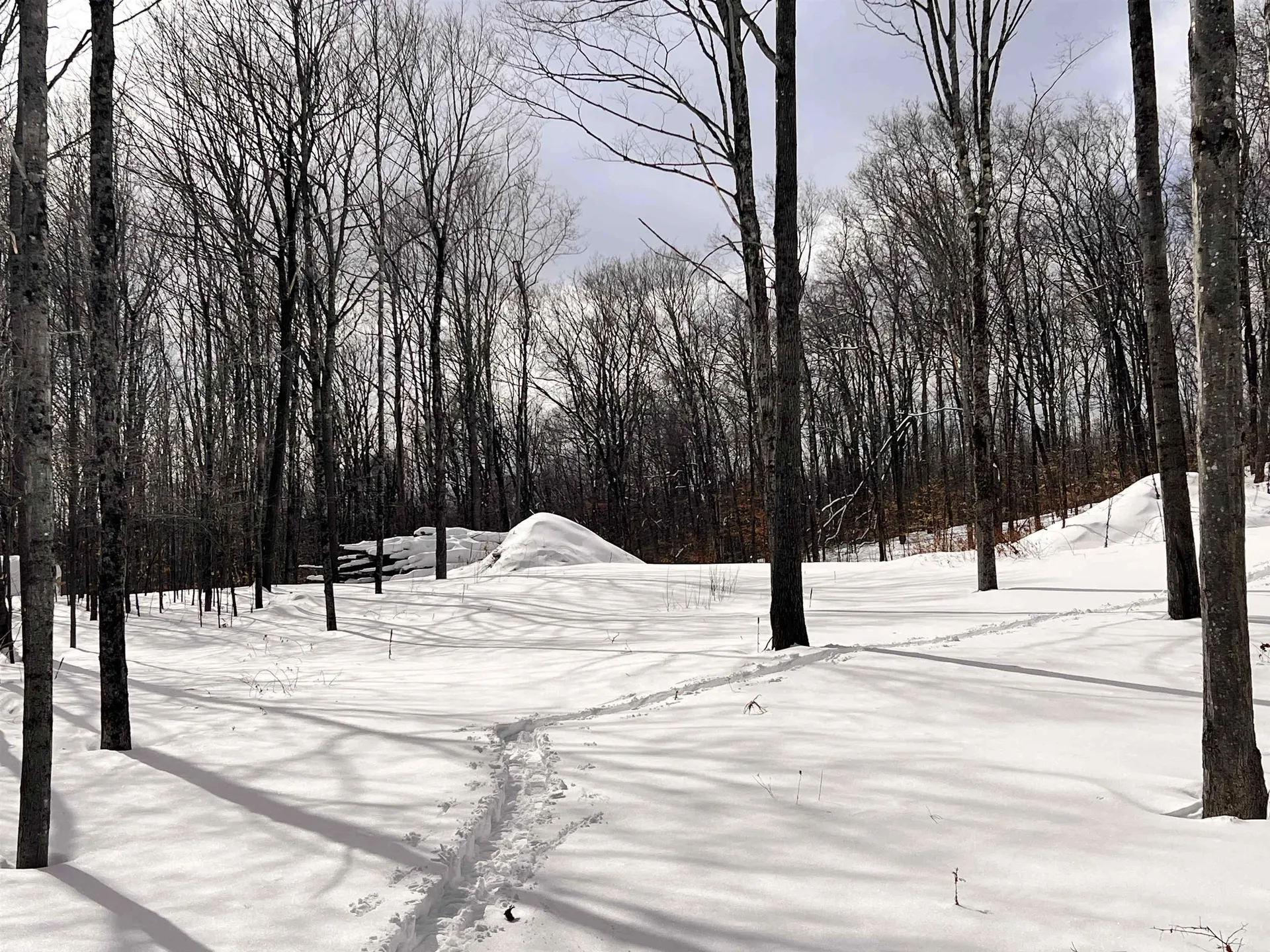 119 Advent Hill Road Hartland VT 05048