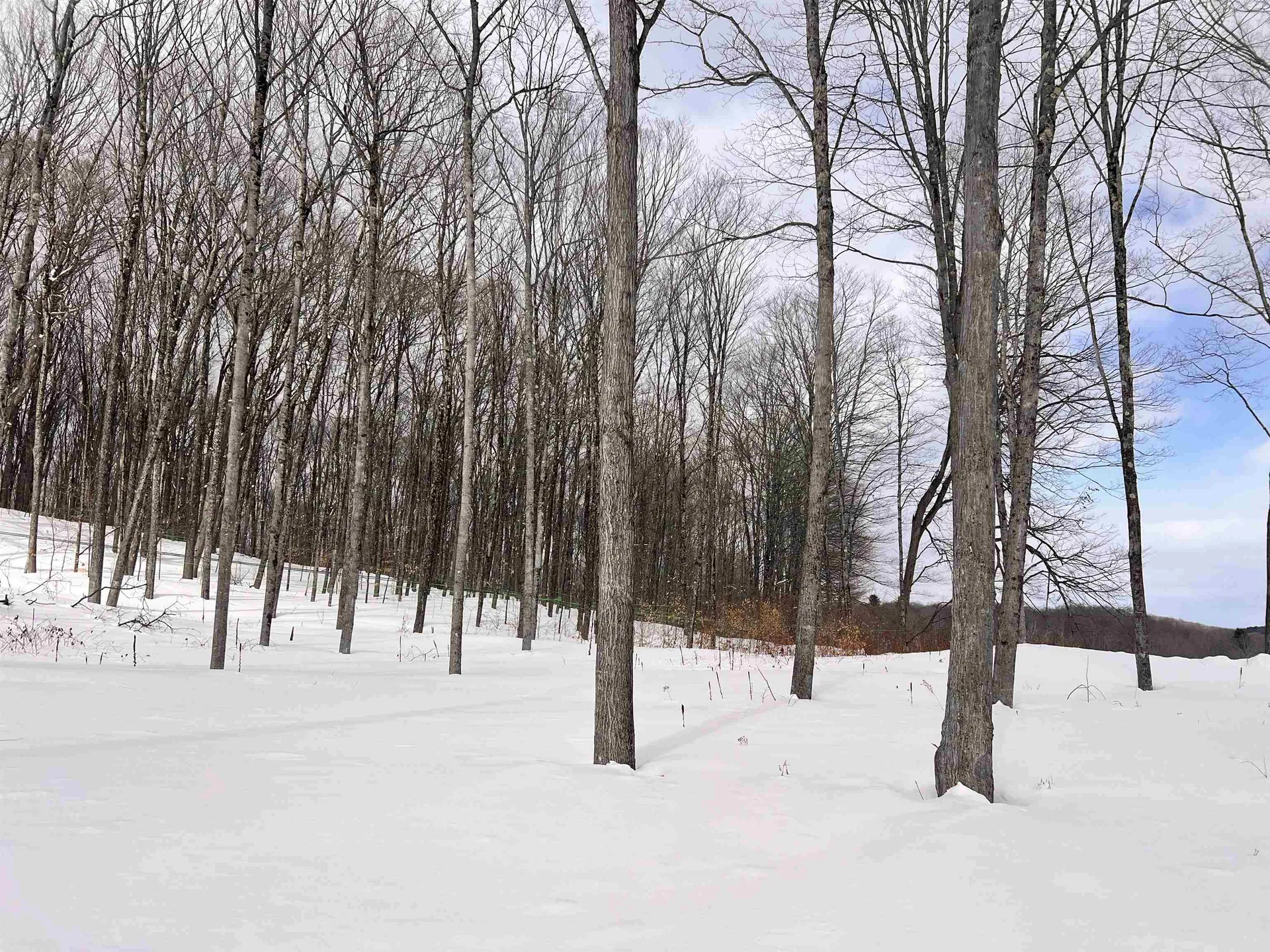 119 Advent Hill Road Hartland VT 05048