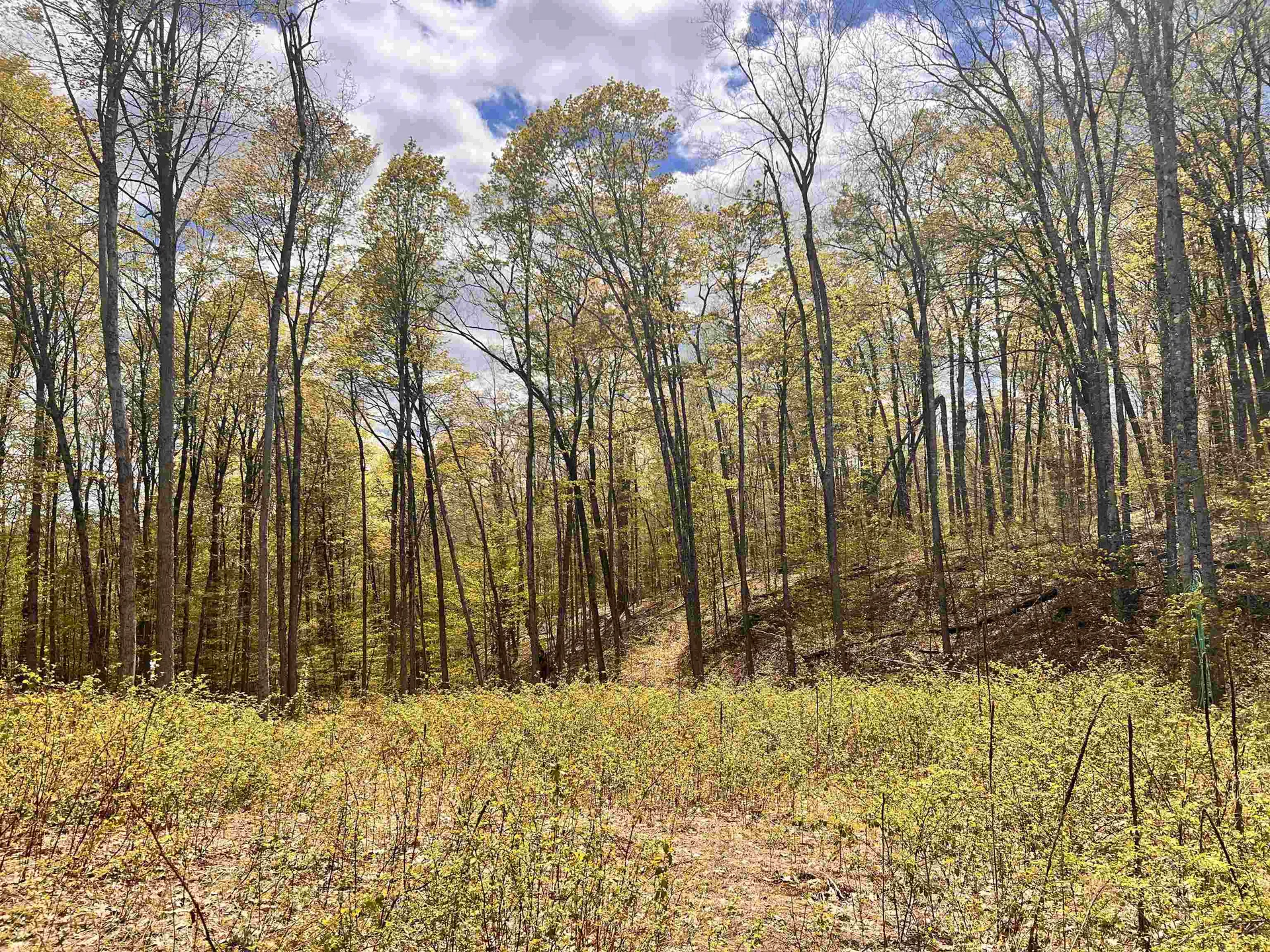 119 Advent Hill Road Hartland VT 05048