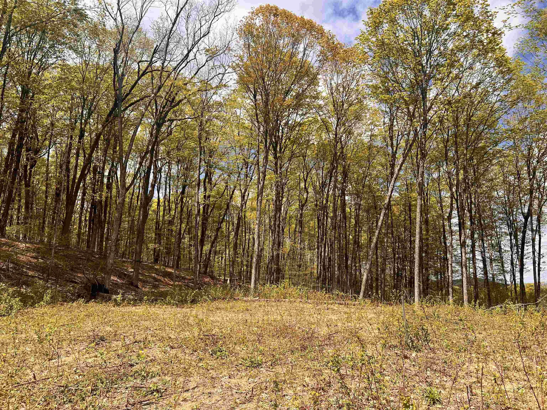 119 Advent Hill Road Hartland VT 05048