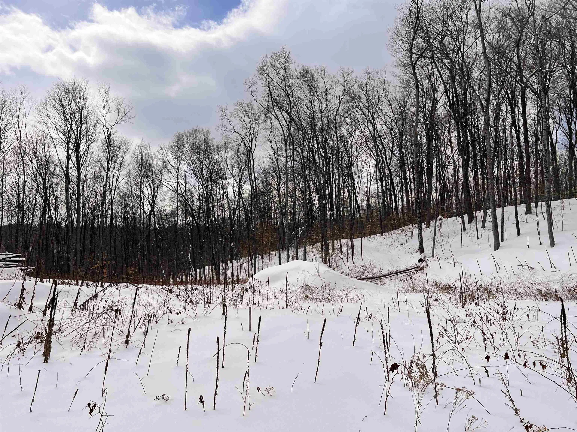 119 Advent Hill Road Hartland VT 05048