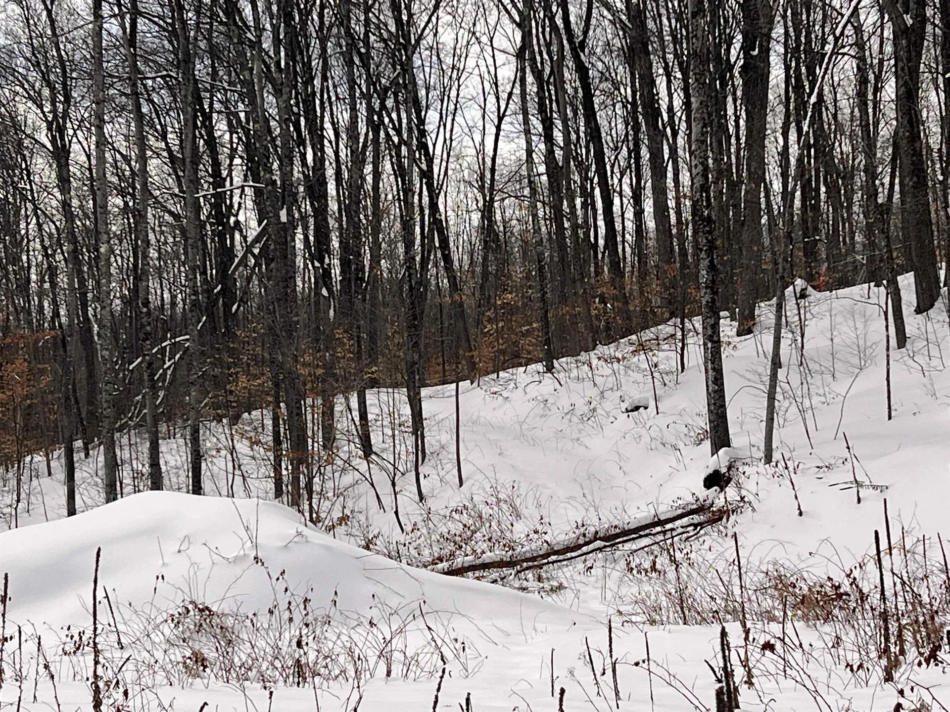 119 Advent Hill Road Hartland VT 05048