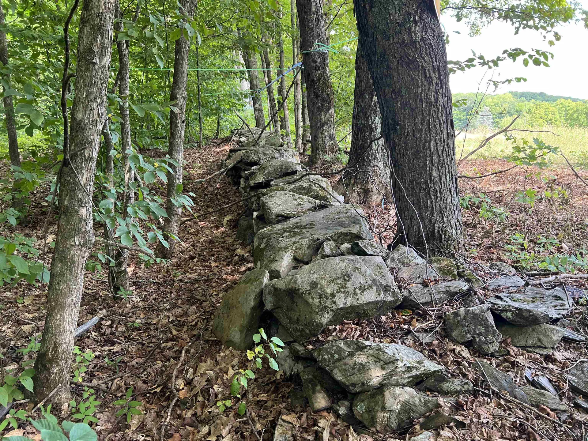 119 Advent Hill Road Hartland VT 05048