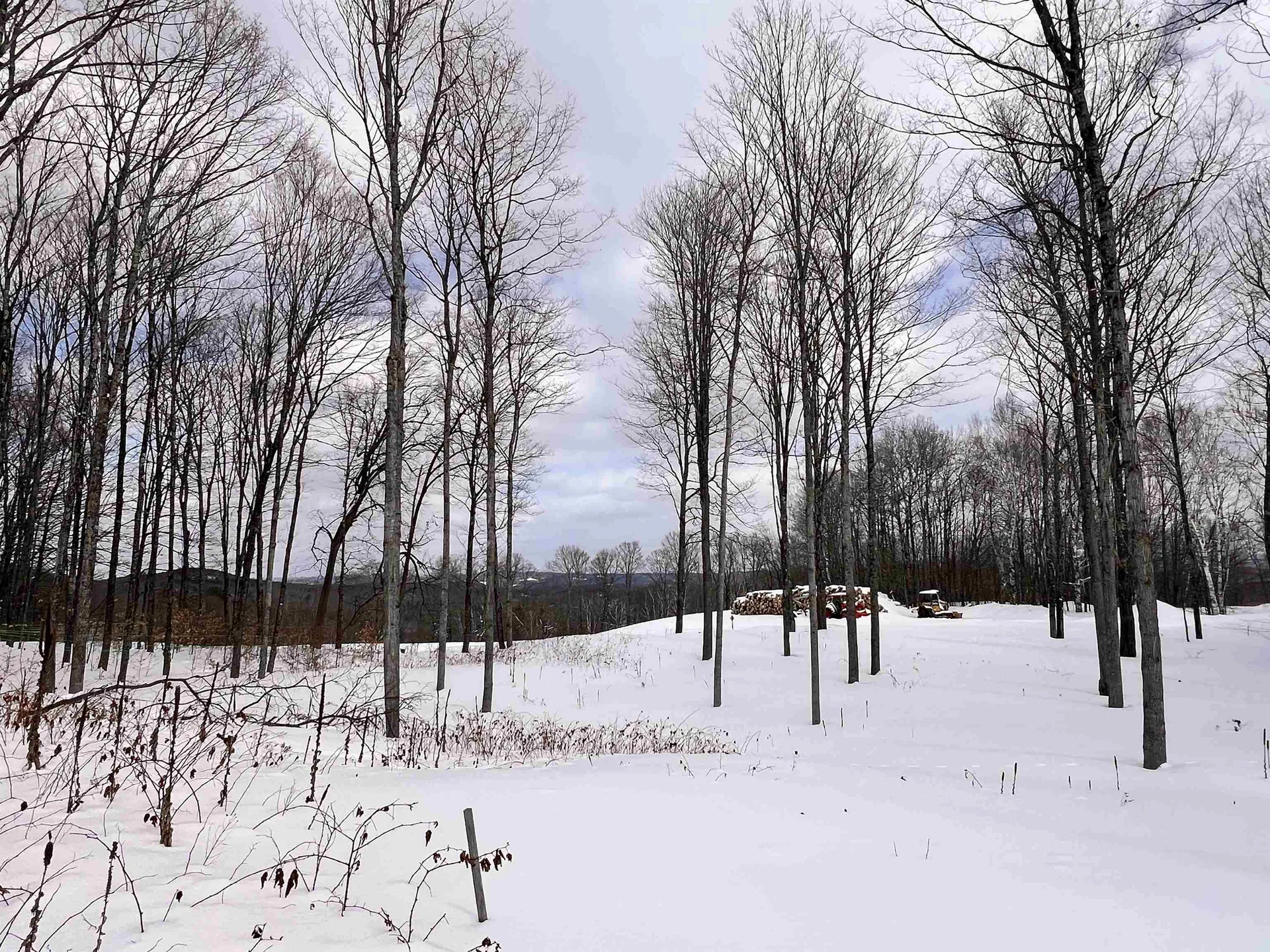 119 Advent Hill Road Hartland VT 05048