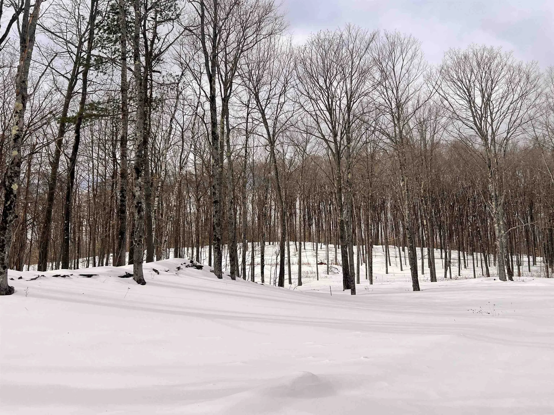 119 Advent Hill Road Hartland VT 05048