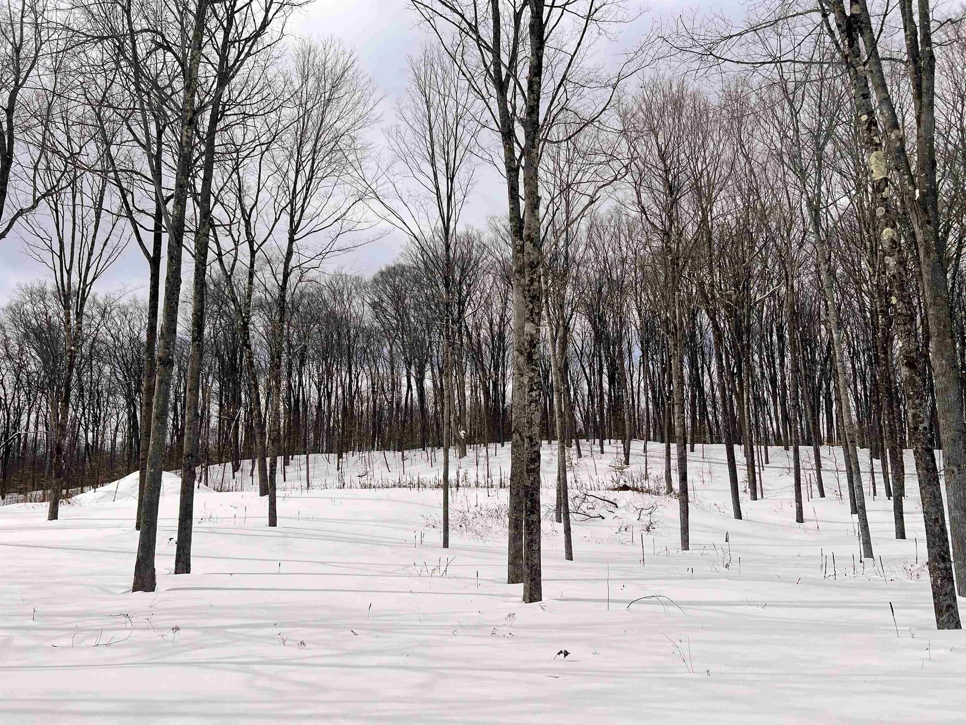 119 Advent Hill Road Hartland VT 05048