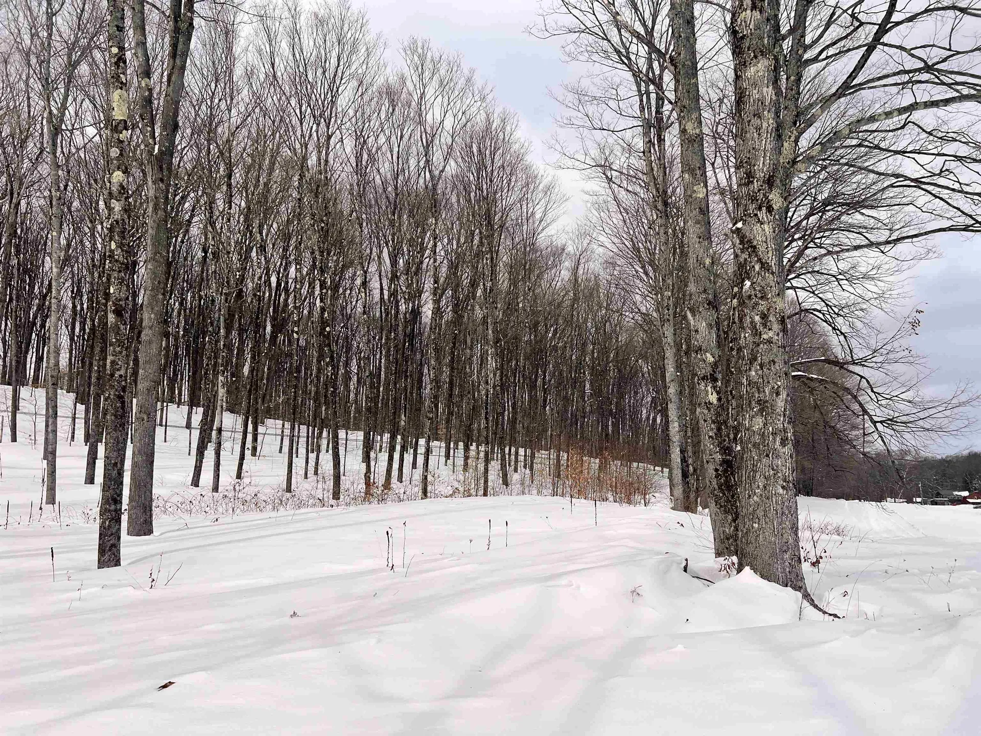 119 Advent Hill Road Hartland VT 05048