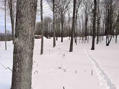 119 Advent Hill Road Hartland VT 05048