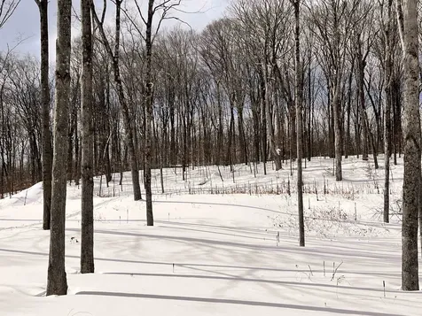 119 Advent Hill Road Hartland VT 05048