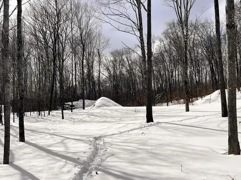 119 Advent Hill Road Hartland VT 05048