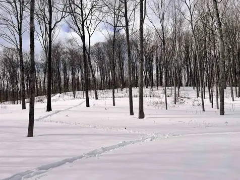 119 Advent Hill Road Hartland VT 05048