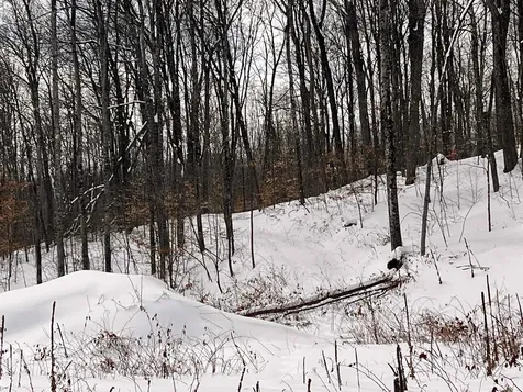 119 Advent Hill Road Hartland VT 05048