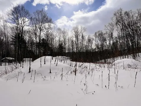 119 Advent Hill Road Hartland VT 05048