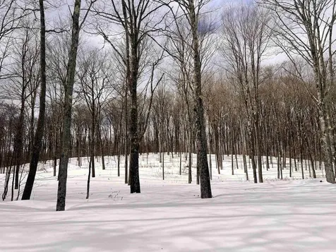 119 Advent Hill Road Hartland VT 05048