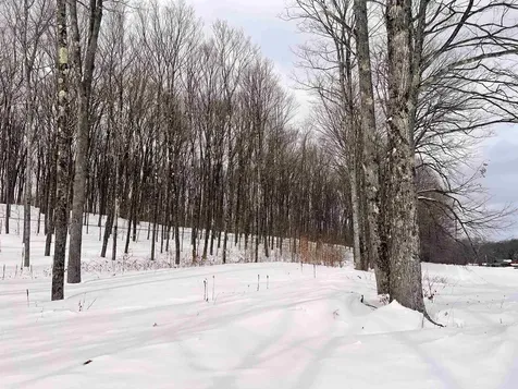 119 Advent Hill Road Hartland VT 05048