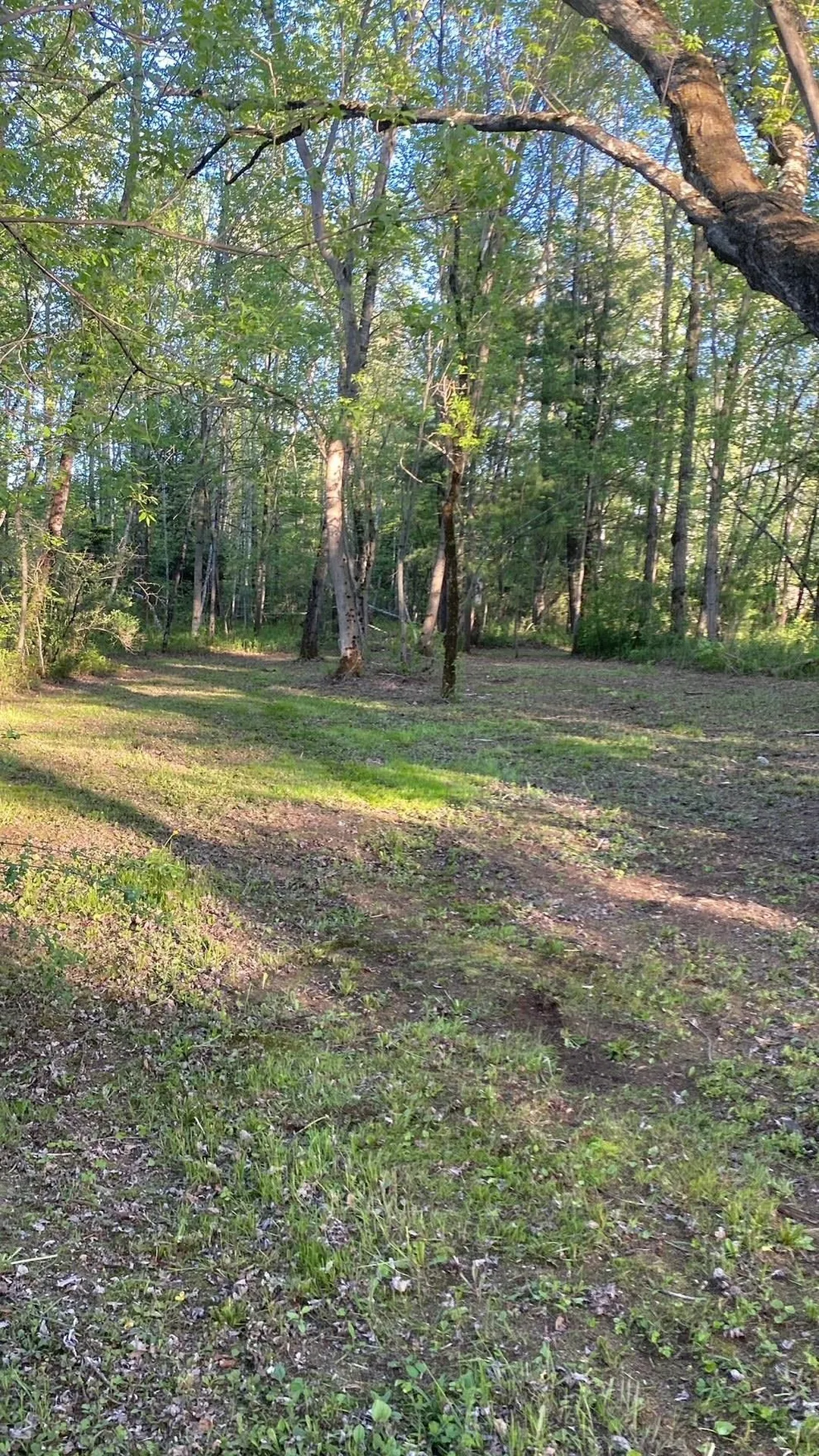 199 Geraldine Avenue Troy VT 05859