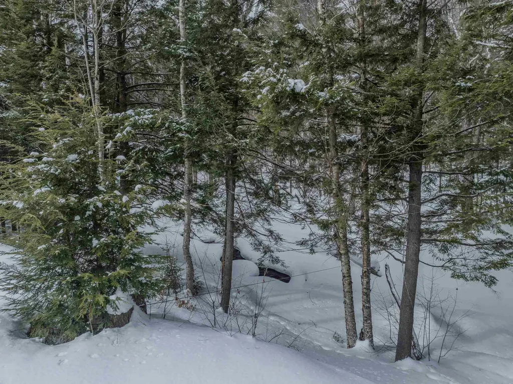 46 Goodbout Road Lincoln NH 03251