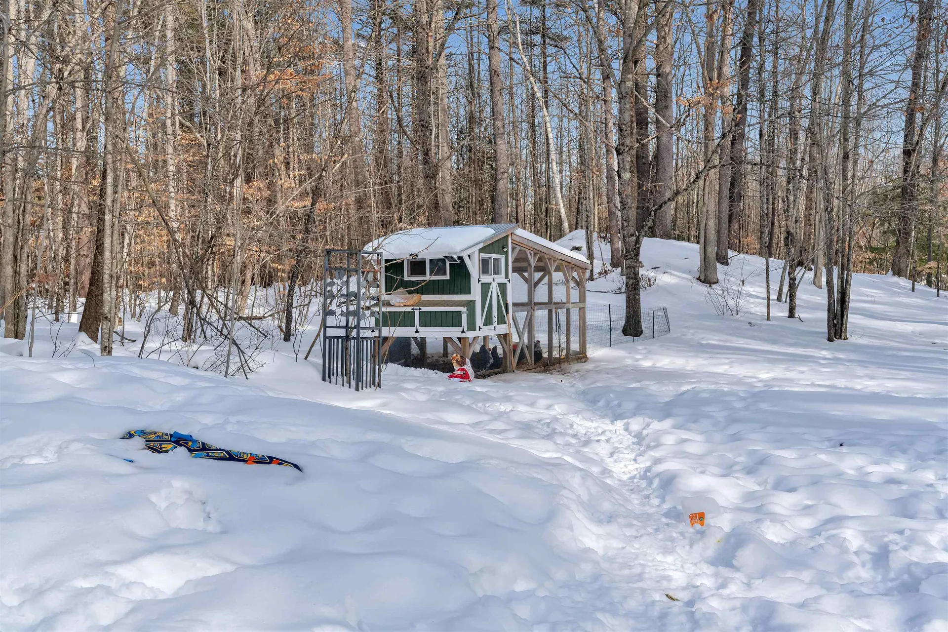 11 North Line Road Wolfeboro NH 03894