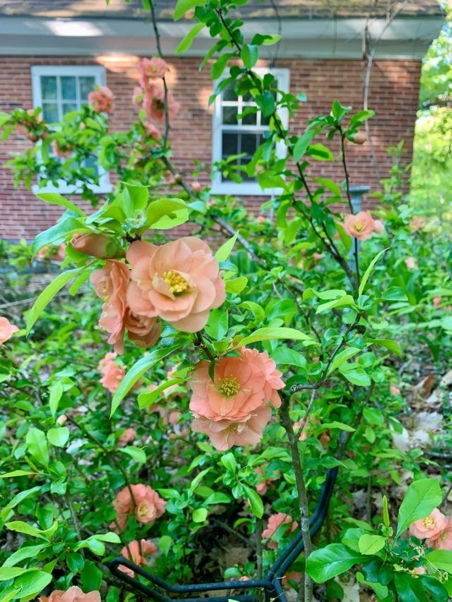 11 North Line Road Wolfeboro NH 03894