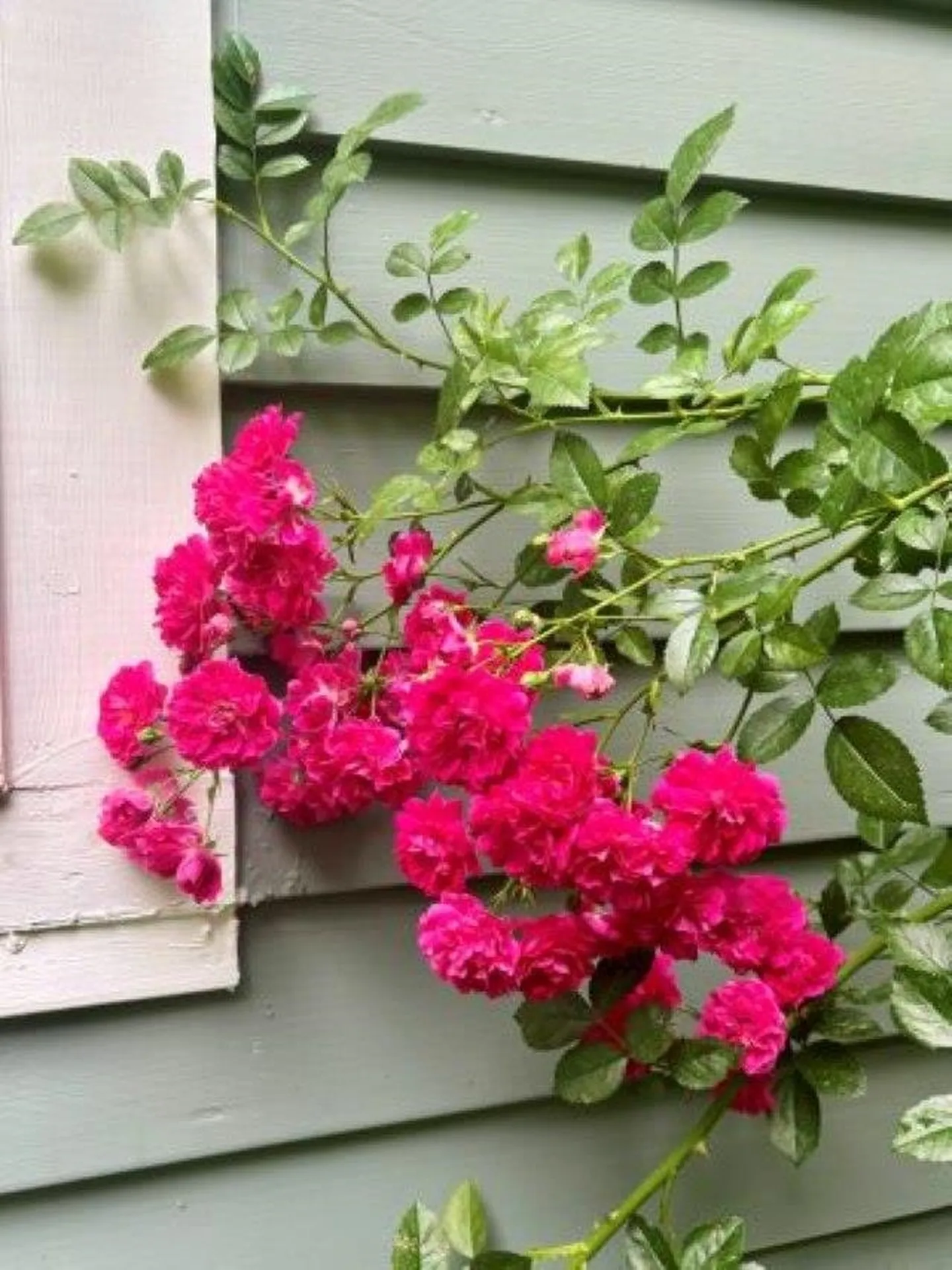 11 North Line Road Wolfeboro NH 03894