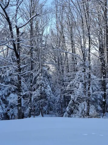 46 Hidden Valley Road Fairfax VT 05454