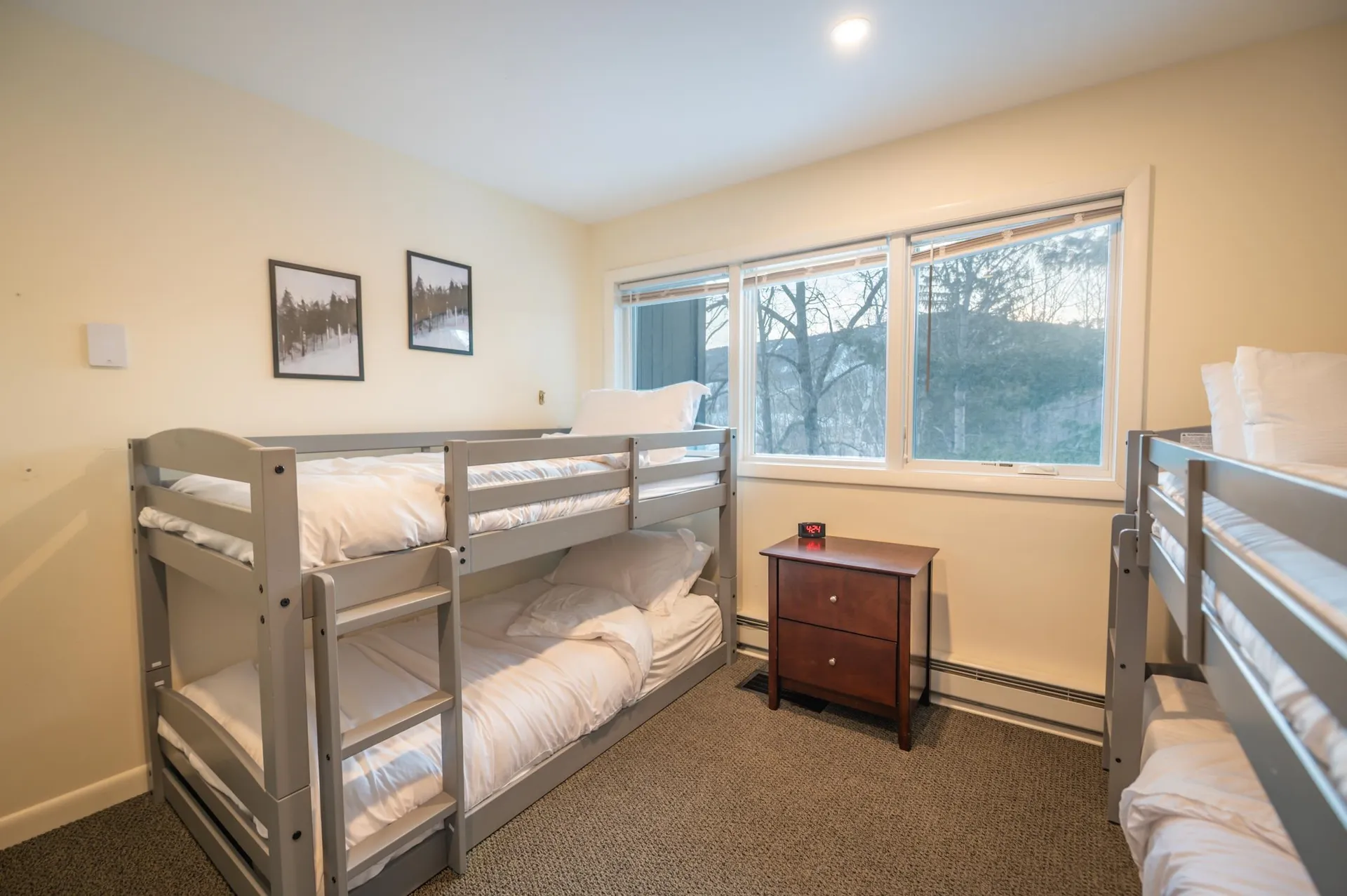 14D Upper Handle Road Dover VT 05356