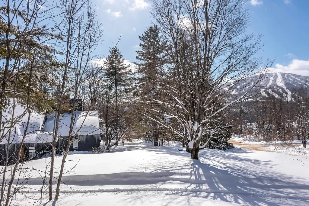 104 High Meadow Road Winhall VT 05340