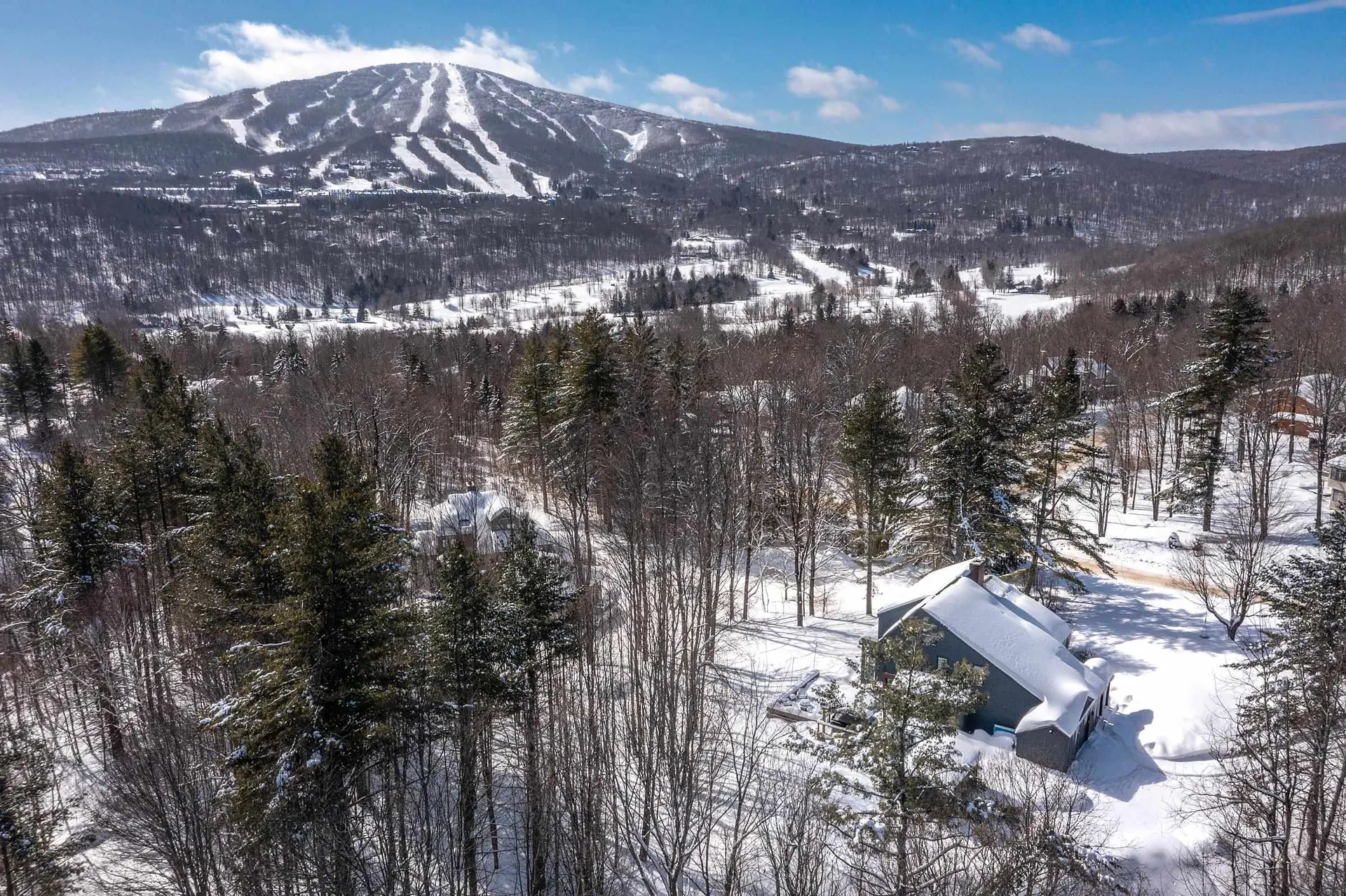 104 High Meadow Road Winhall VT 05340